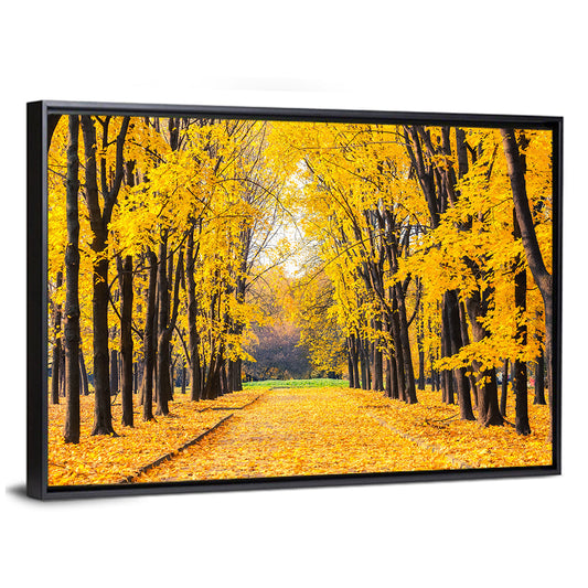 Golden Autumn Park Path Wall Art