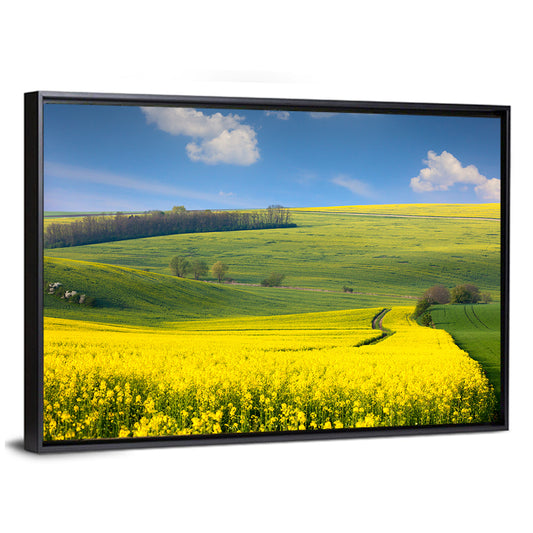 Sunlit Rapeseed Hills Wall Art
