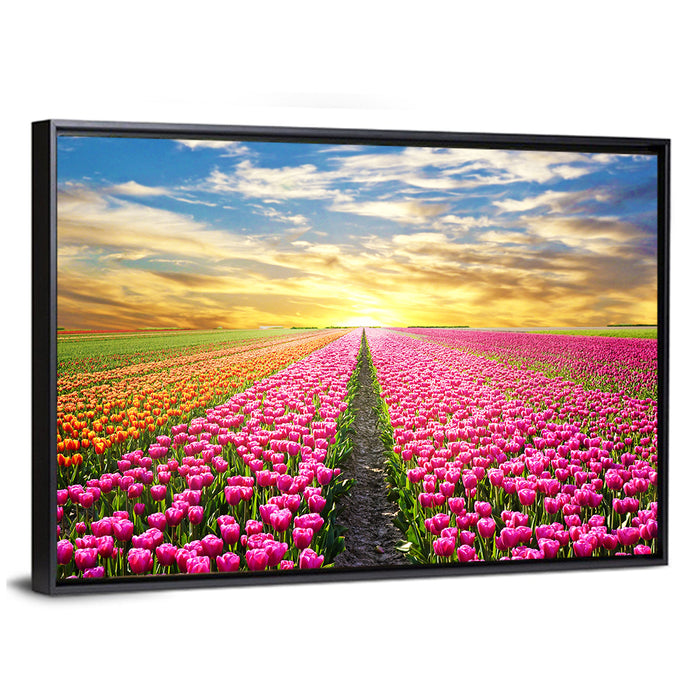 Sunrise Over Tulip Field Wall Art as a framed canvas