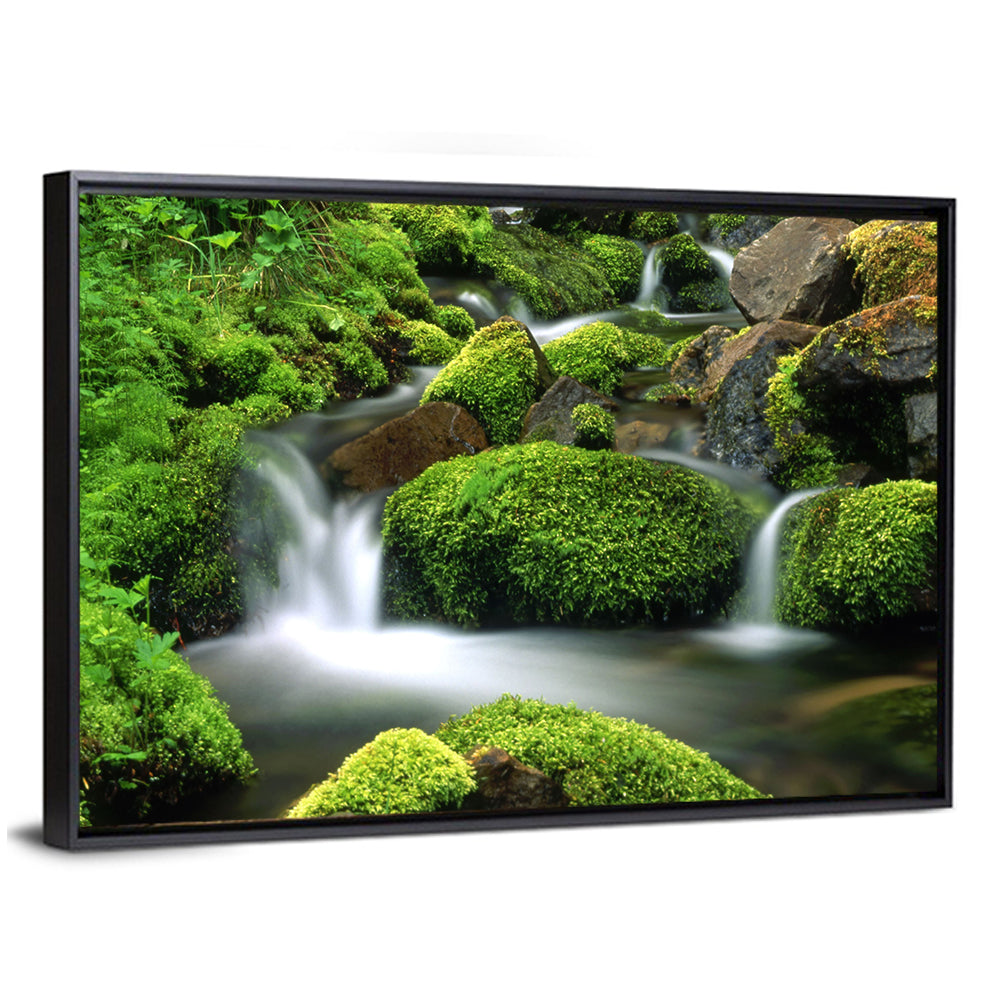 Mossy Mountain Stream Wall Art
