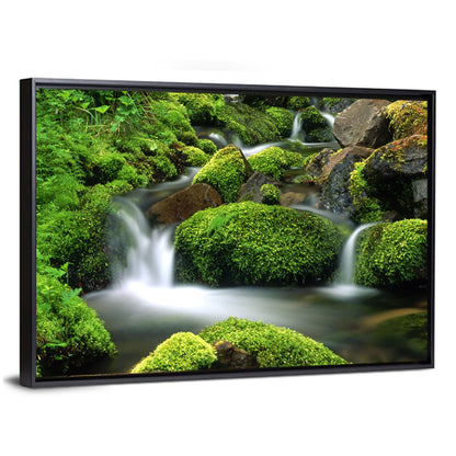 Mossy Mountain Stream Wall Art