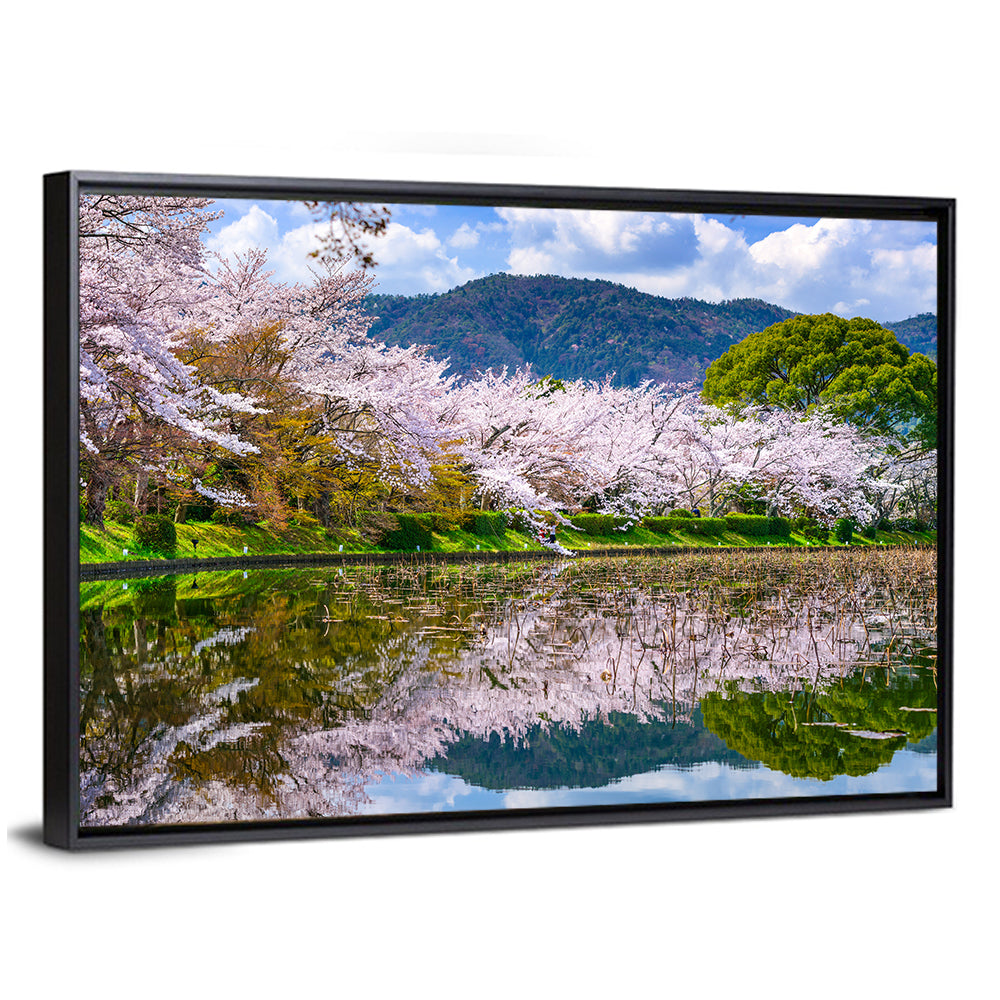 Spring at Daikaku-ji Pond Wall Art