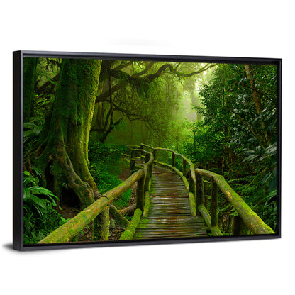 Misty Nepal Jungle Boardwalk Wall Art