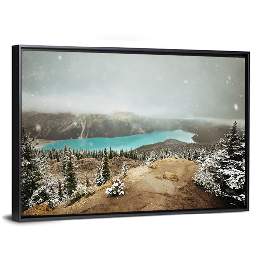 Peyto Lake in Winter Wall Art