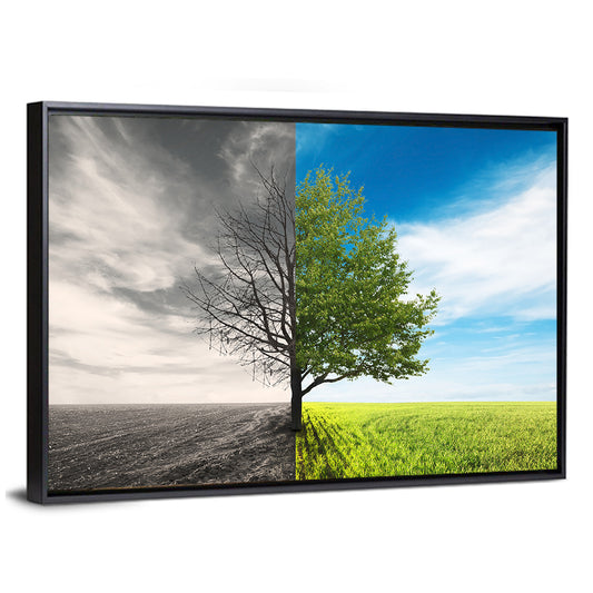 Split Tree in Field Wall Art