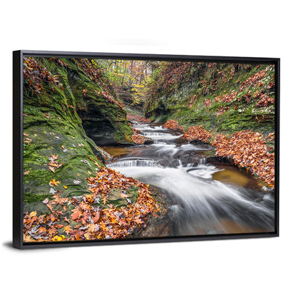 Warren County Autumn Cascades Wall Art