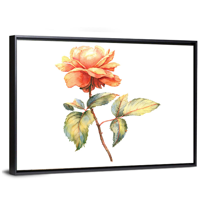 Orange Watercolor Rose Illustration Wall Art as a framed canvas