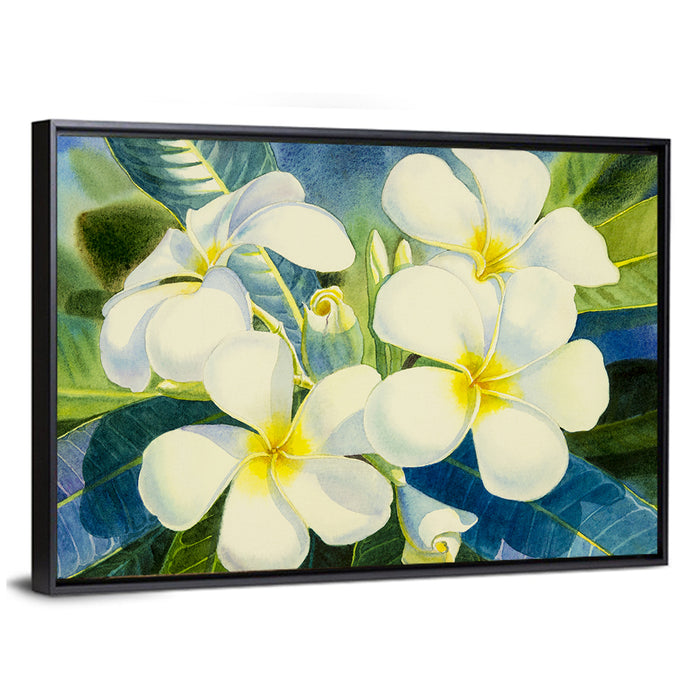 White Plumeria Watercolor Study Wall Art as a framed canvas