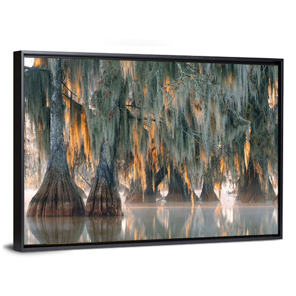 Bald Cypress Trees With Hanging Spanish Moss Wall Art