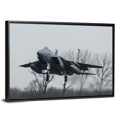 Usaf F-15 Eagle Landing Approach Wall Art