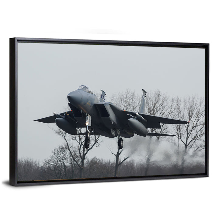 Usaf F-15 Eagle Landing Approach Wall Art