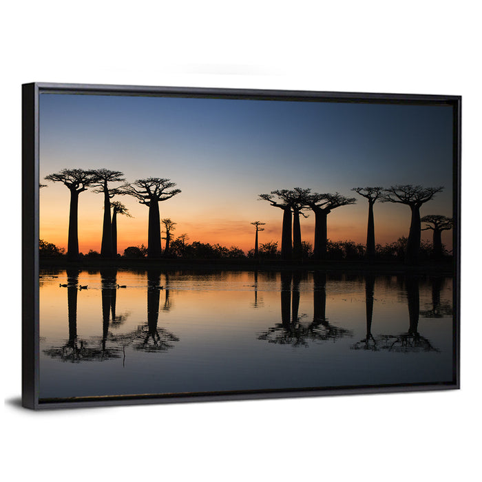Avenue of the Baobabs at Sunrise Wall Art as a framed canvas