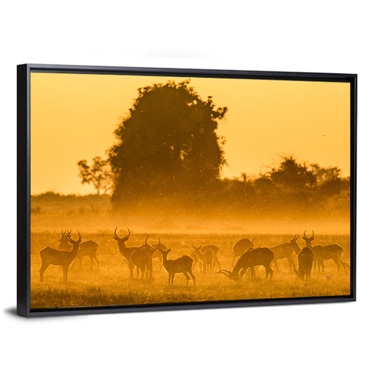 Antelope Group At Sunset Wall Art