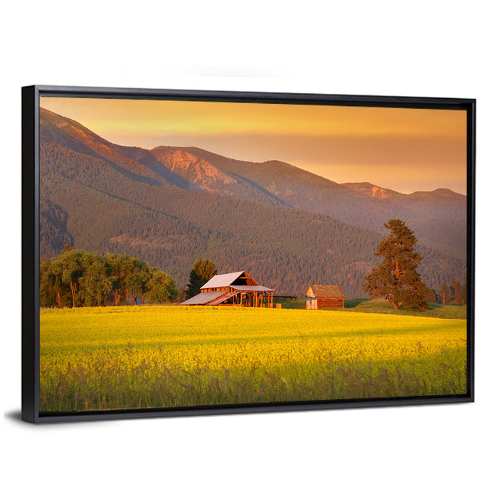 Rapeseed Field and Barn at Golden Hour Wall Art as a framed canvas