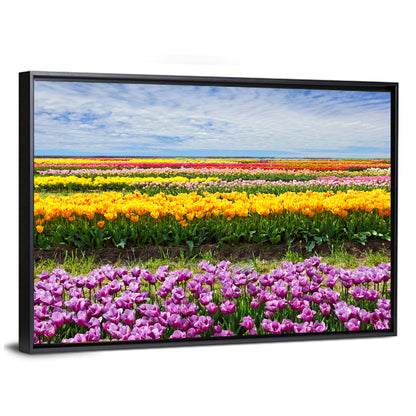 Rows of Colorful Tulip Fields Wall Art