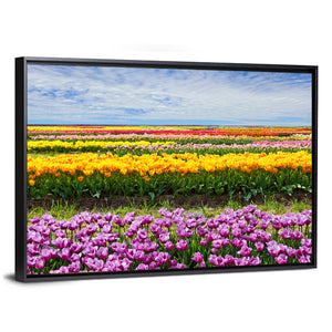 Tulips Row On Field Wall Art