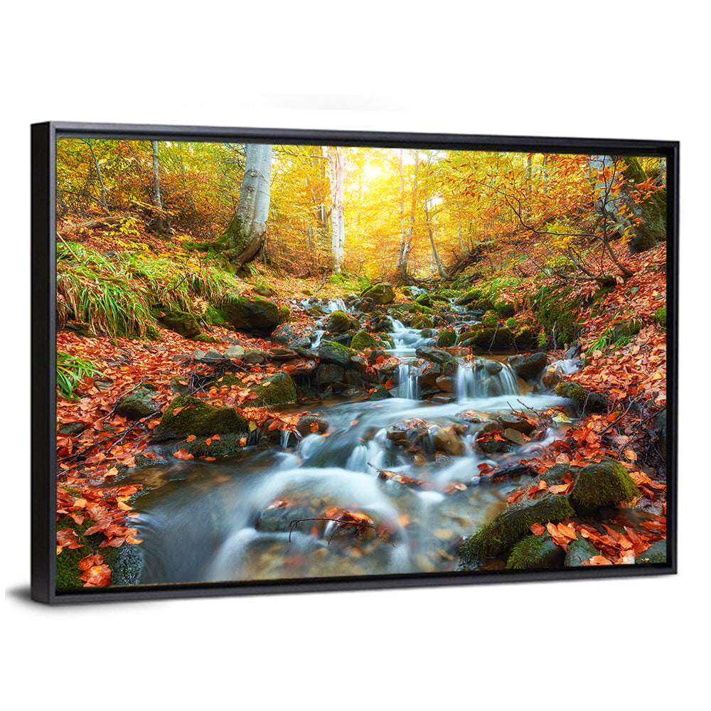 Backlit Autumn Forest Stream Wall Art