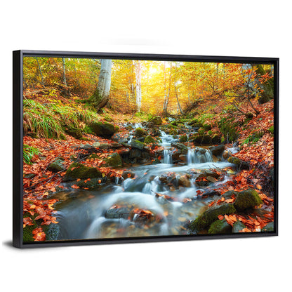 Backlit Autumn Forest Stream Wall Art