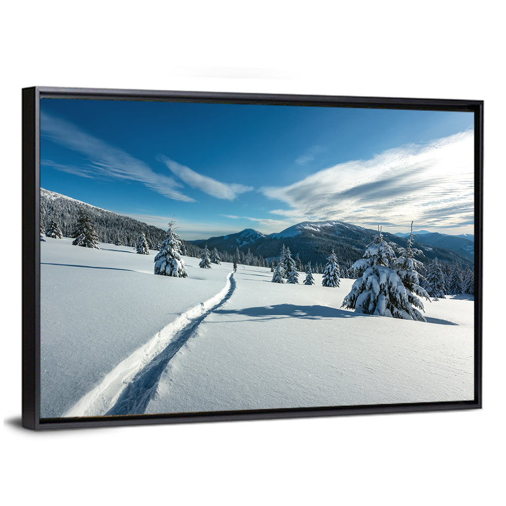 Snowy Carpathian Trail Wall Art
