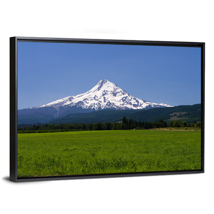 Mount Hood Meadow View Wall Art as a framed canvas