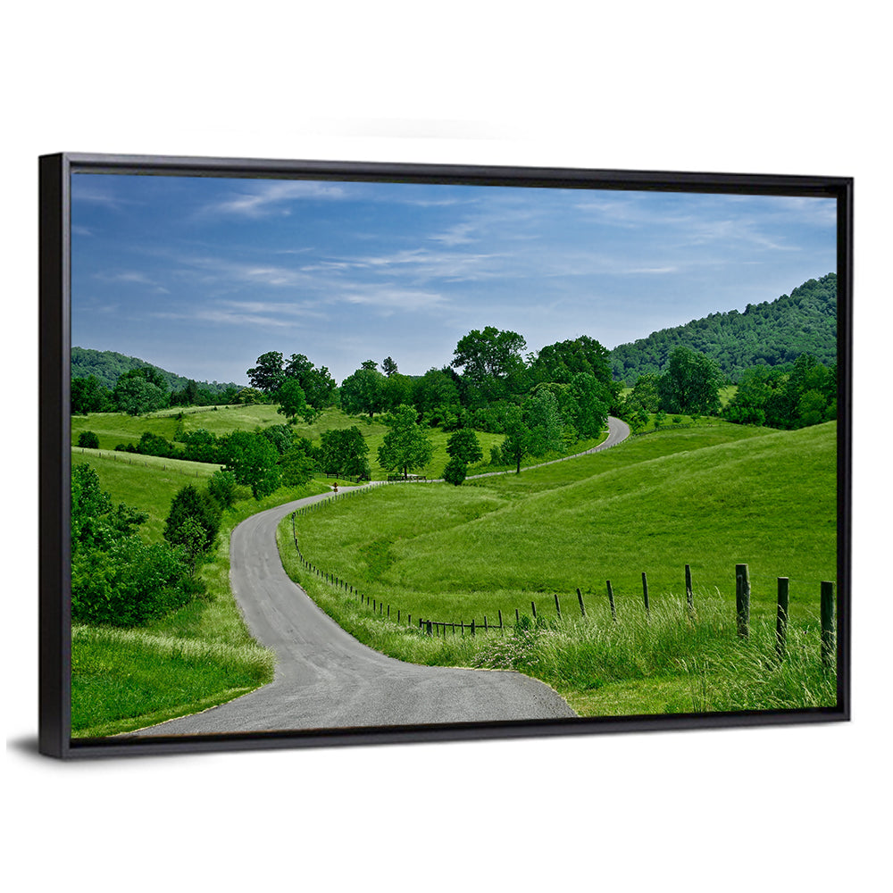 Blue Ridge Winding Road, Western Virginia Wall Art