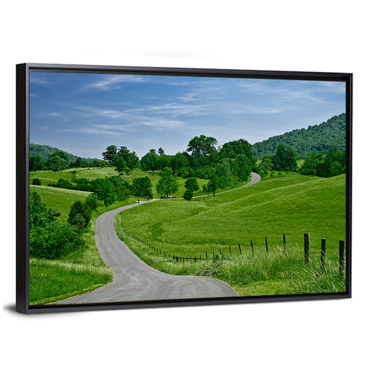 Blue Ridge Winding Road, Western Virginia Wall Art