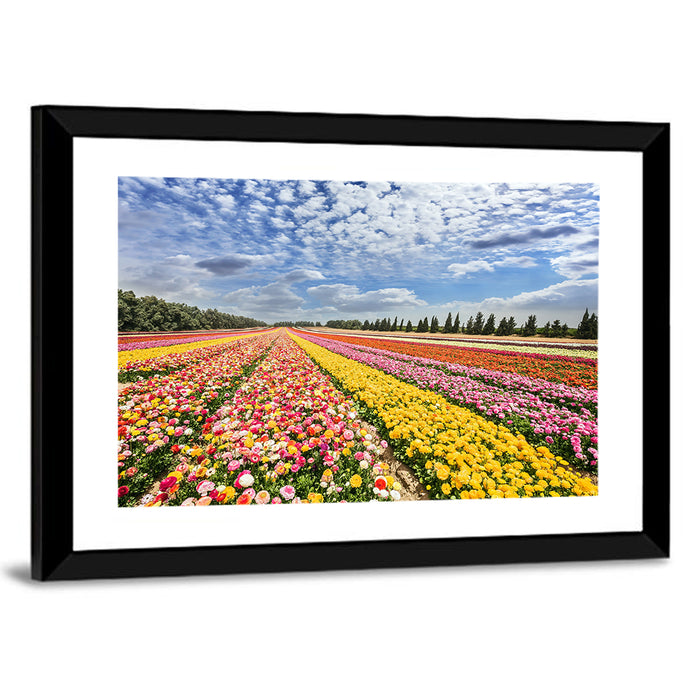 Spring Buttercup Field Wall Art as a framed print