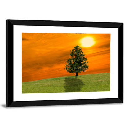 Lonely Tree on Green Hill at Sunset Wall Art