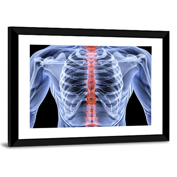 Male Spine X-ray Illustration Wall Art as a framed print