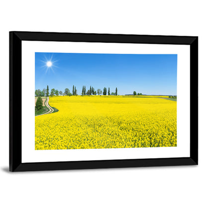 Winding Path Through Rapeseed Field Wall Art