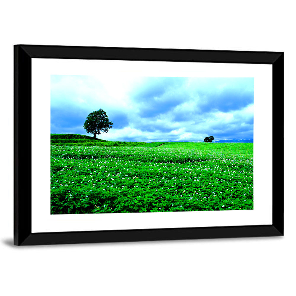 Biei Hill with Lone Tree, Hokkaido Wall Art