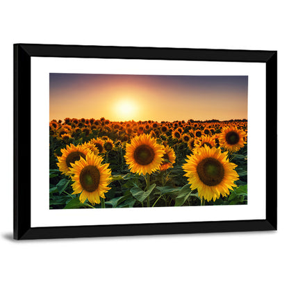 Sunflower Field at Sunset Wall Art