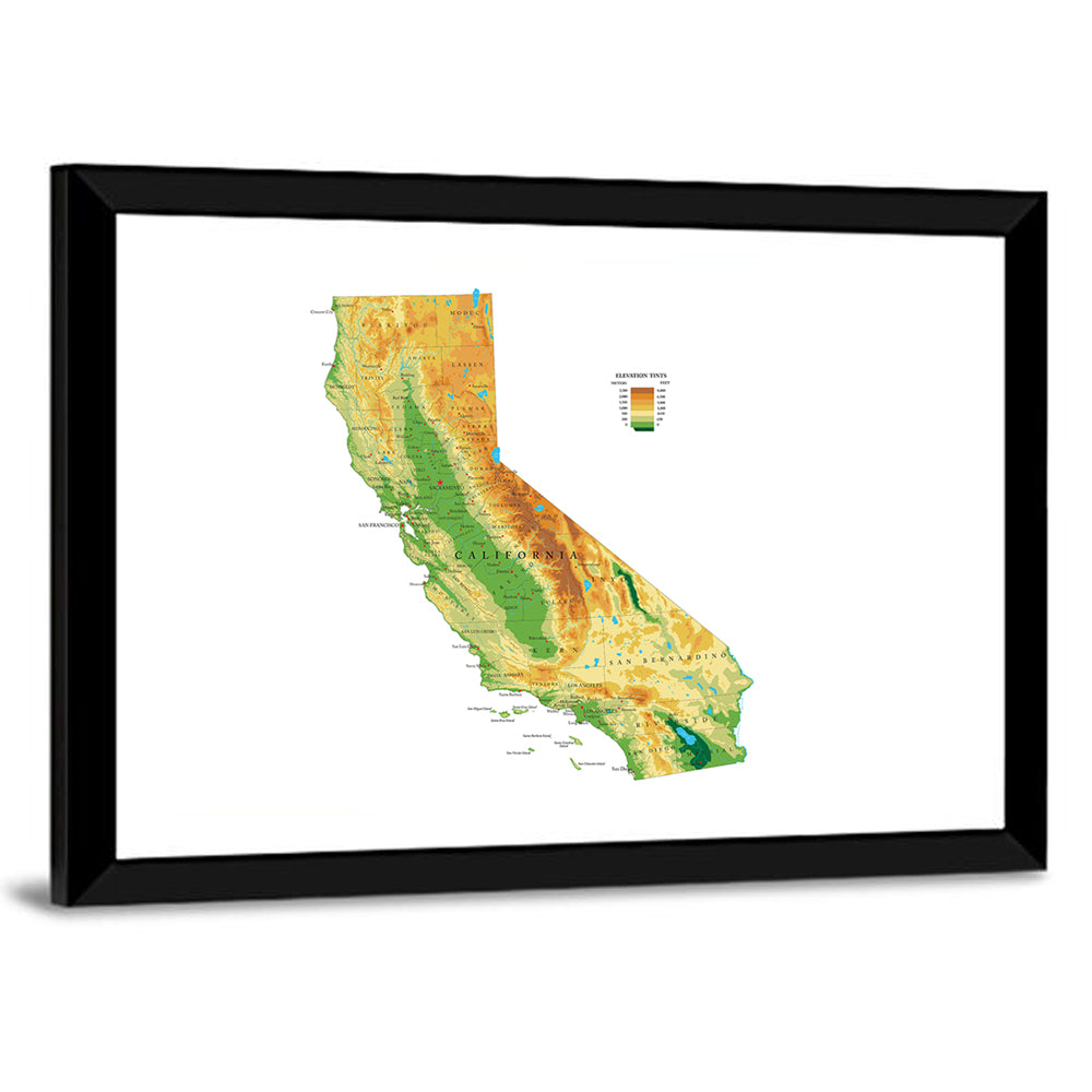 California Topographic Map Wall Art