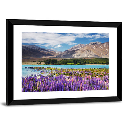 Lupines at Lake Tekapo Wall Art