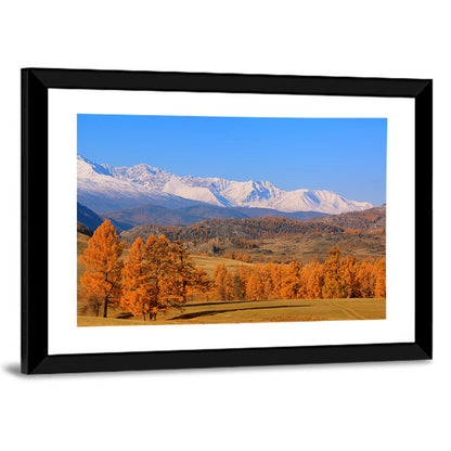 Altay Mountains with Golden Larches Wall Art