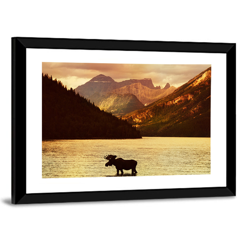 Waterton Lakes Moose at Golden Dusk Wall Art