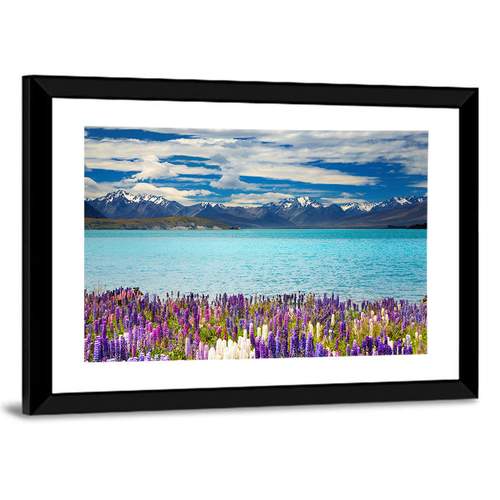 Lake Tekapo Lupines and Mountains Wall Art as a framed print