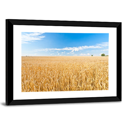 Golden Wheat Field with Blue Sky Wall Art