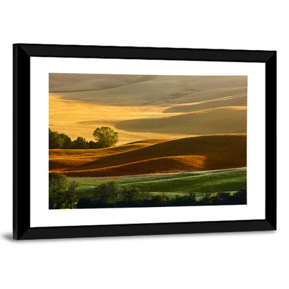 Golden Hills of Tuscany Wall Art