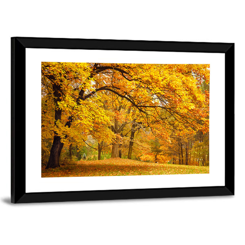 Golden Canopy in Autumn Park Wall Art