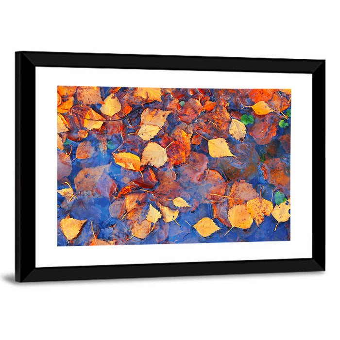 Birch Leaves in Rain Puddle Wall Art as a framed print