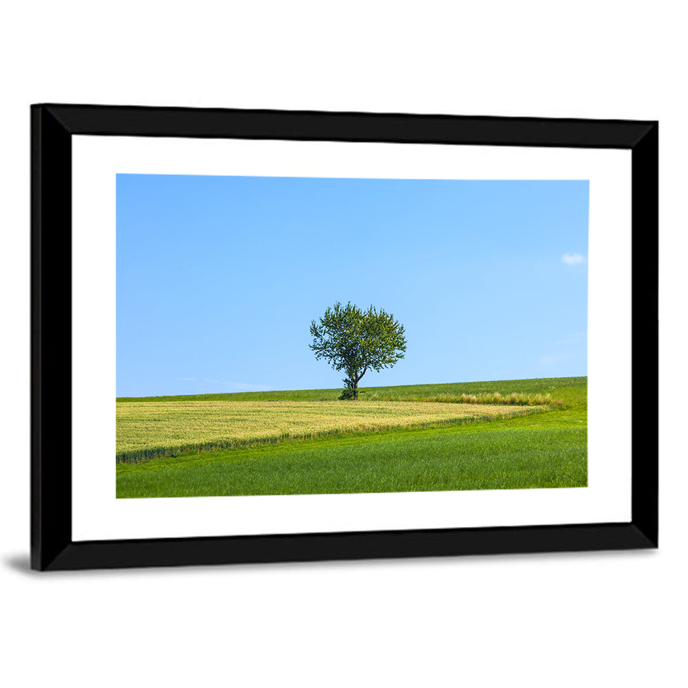 Solitary Tree on Rolling Meadow Wall Art