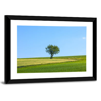 Solitary Tree on Rolling Meadow Wall Art