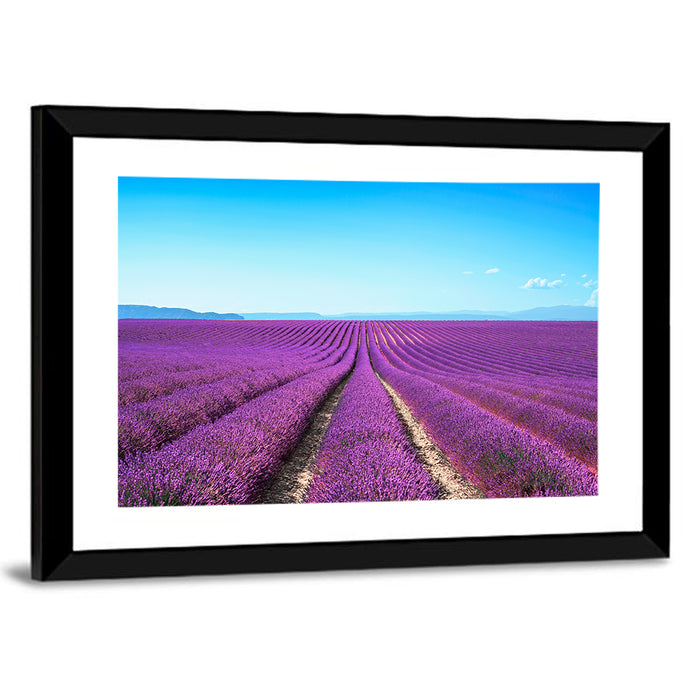 Lavender Flower Fields Wall Art as a framed print