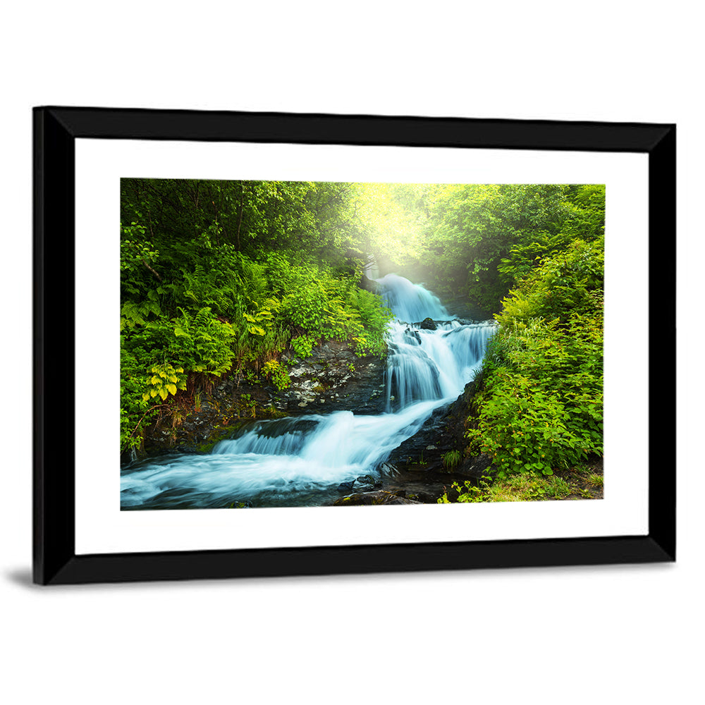 Creek In Forest Wall Art