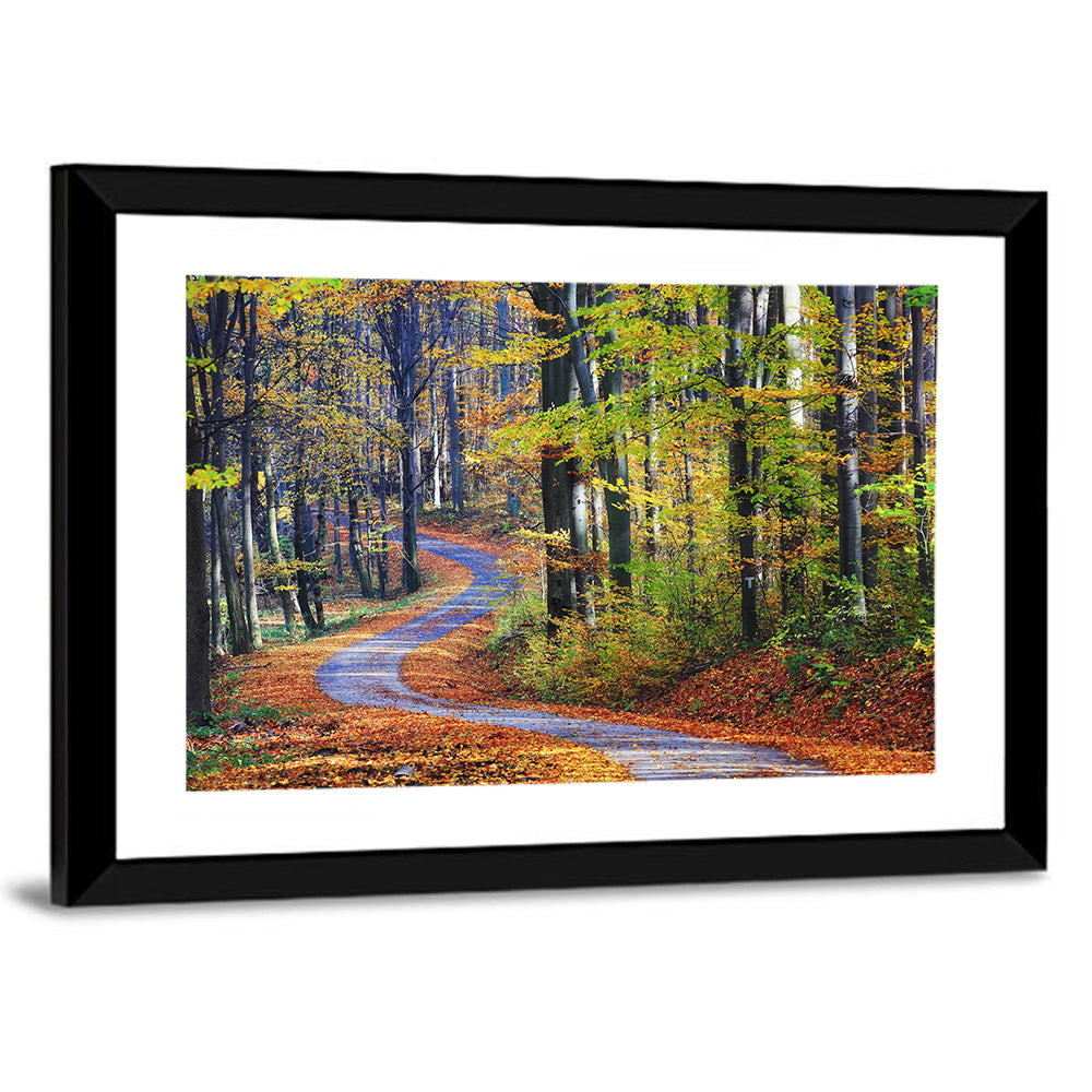 Winding Autumn Forest Path Wall Art