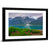 Wild Flowers In Glacier Bay National Park Alaska Wall Art