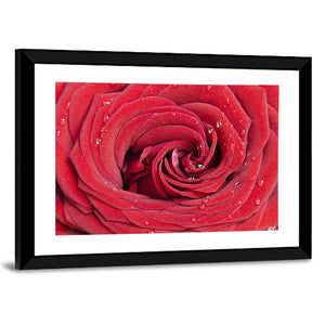 Red Rose Flower Wall Art