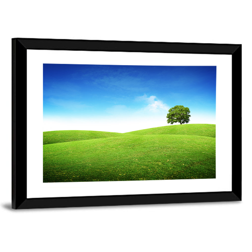 Lone Tree on Rolling Green Hill Wall Art