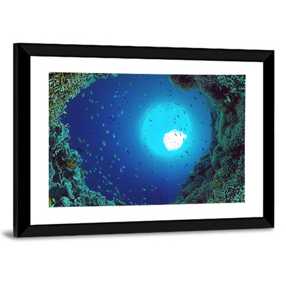 Sunlit Coral Reef with Tropical Fish Wall Art